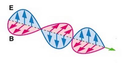 Circularly Polarized (CP)